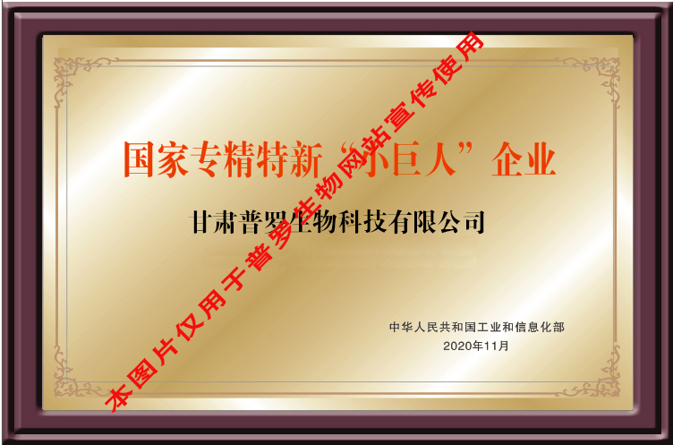 國家專精特新“小巨人”企業